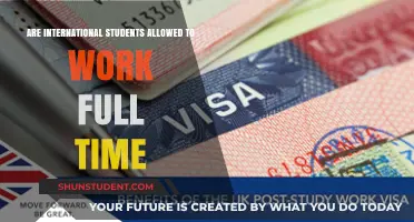 Full-Time Work Options for International Students