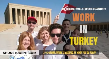 Work Rights for Foreign Students in Turkey