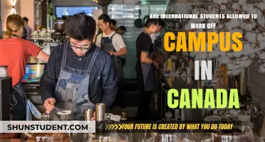Working Off-Campus: International Students' Rights in Canada