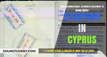Work While Studying in Cyprus: International Student Rights