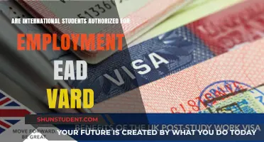 Employment Authorization for International Students: EAD Card Rules