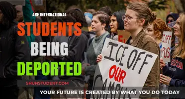 The Uncertain Future of International Students in America