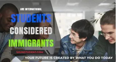 Understanding Immigrant Status as an International Student