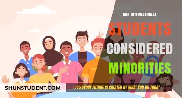 International Students: Minority Status and Its Complexities