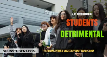 International Students: Boon or Bane?