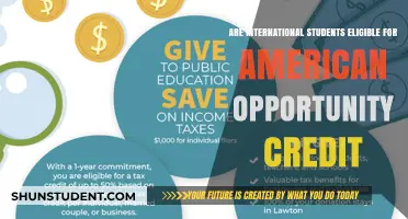 Understanding Tax Benefits: International Students and American Opportunity