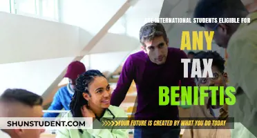 International Students: Tax Benefits and Eligibility