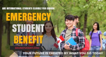 International Students: Canada Emergency Benefits Eligibility