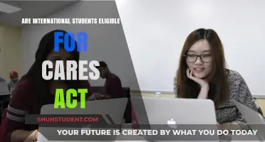 CARES Act: International Students' Eligibility Explained