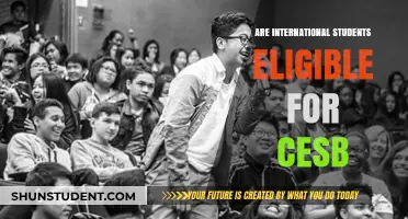 CESB Eligibility: Are International Students Included?