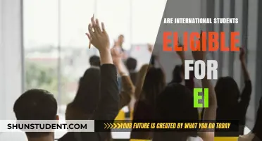 International Students: EI Eligibility Explained