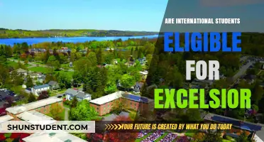 Excelsior Scholarship: Eligibility for International Students