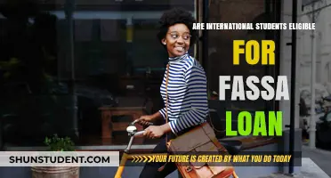 FAFSA Loans: Eligibility Criteria for International Students