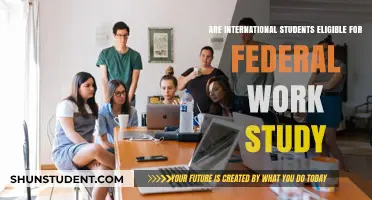 International Students: Federal Work-Study Eligibility