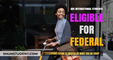 International Students: Federal Aid Eligibility