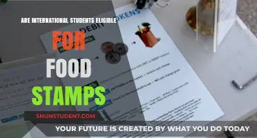 International Students: Food Stamps Eligibility