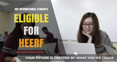 International Students: HEERF Eligibility Explained