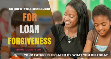 International Students: Loan Forgiveness Eligibility