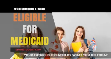 Understanding Medicaid Eligibility for International Students