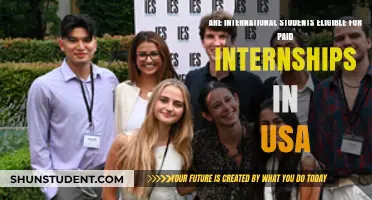 Paid Internships in the USA: Are International Students Eligible?