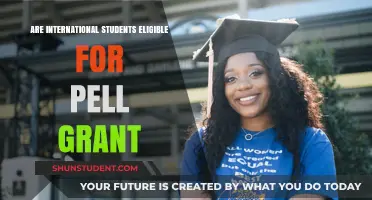 International Students: Can You Get Pell Grants?