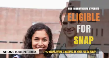 International Students: SNAP Eligibility Explained