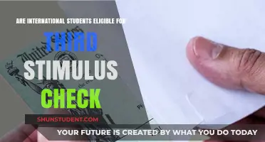 Stimulus Check Eligibility: International Students' Queries Answered