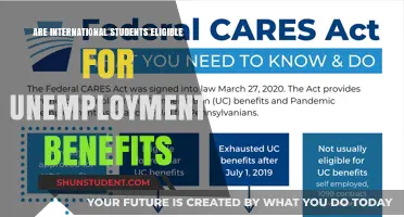 Unemployment Benefits: Are International Students Eligible?