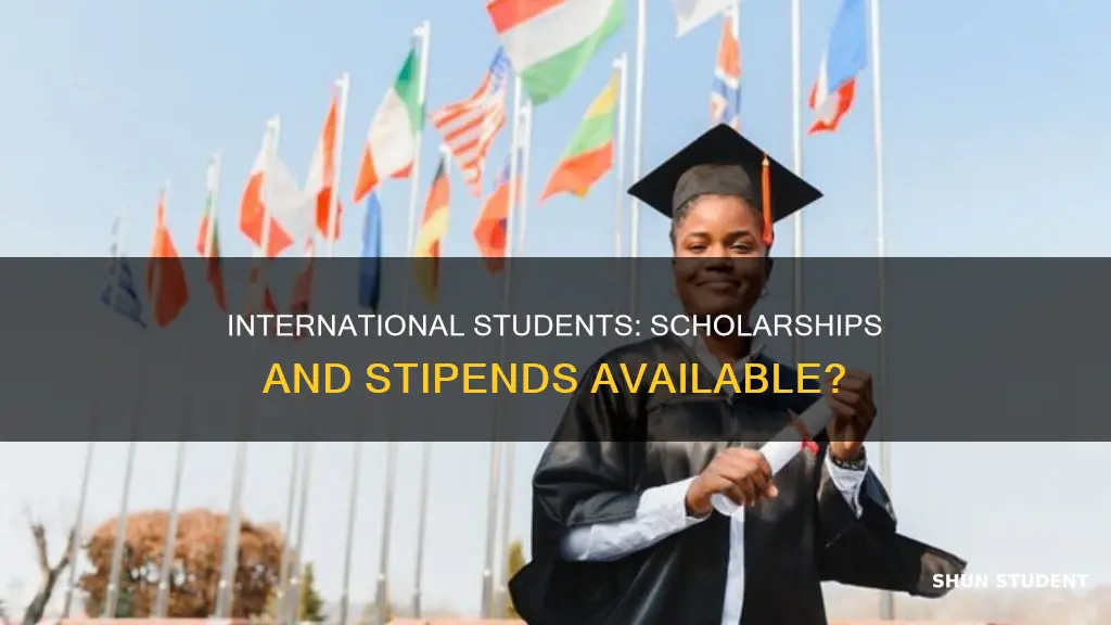 are international students eligible for university scholarships and stipend