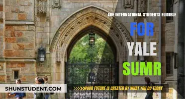 International Students: Yale SUMR Eligibility