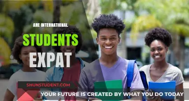 Expat or International Student: What's the Difference?