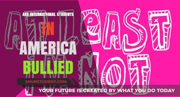 Bullying International Students: An American Epidemic
