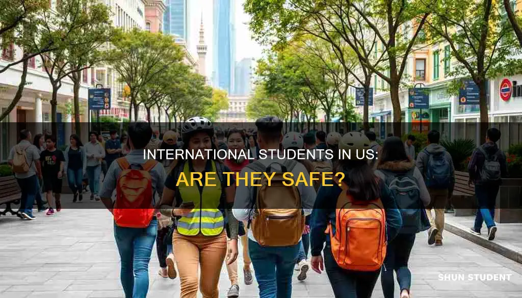 are international students in american universities safe