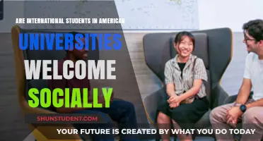 International Students: Welcomed or Alienated in US Universities?