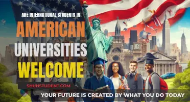 International Students in US Universities: Accepted or Alienated?