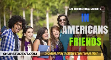 Making Friends: International Students in America