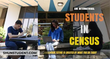 International Students: Counted in the Census?