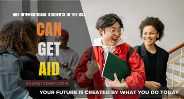International Students in the USA: Can They Get Aid?