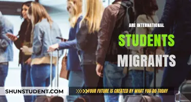 International Students: Migrants or Not?