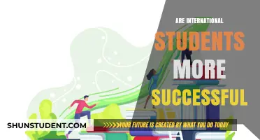 International Students: More Successful or Not?