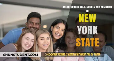 International Students: Non-Resident Status in New York State