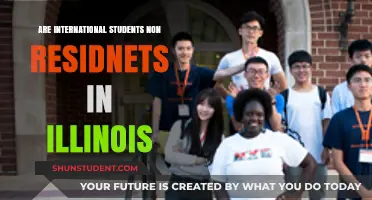 International Students: Illinois Non-Resident Status Explained