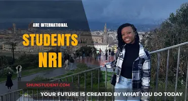 Who is an NRI? International Students in India