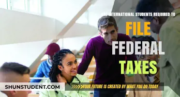 International Students: Do You Need to File Federal Taxes?