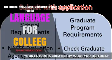 Foreign Language Requirements for International Students in College