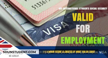 International Students: Social Security and Employment