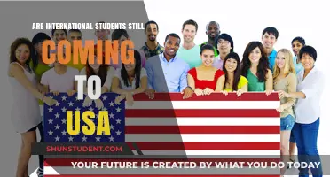 International Students: Still Choosing the USA?