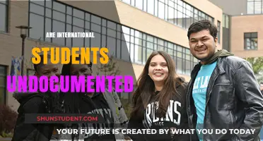 International Students: Documented or Undocumented?