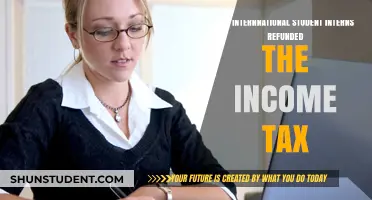 Interns and Income Tax: Do International Students Get Refunds?