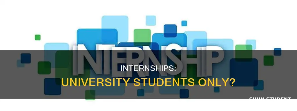 are internships only for university students